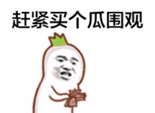 吃瓜群众赵二狗是谁,网络红人的崛起之路