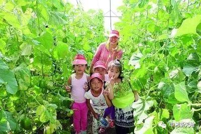 家庭聚会吃瓜群众,吃瓜群众眼中的欢乐时光