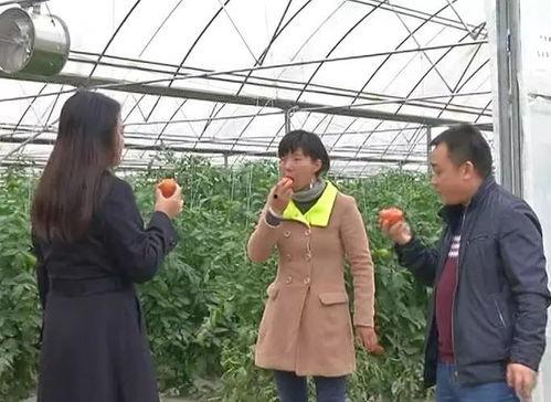 绥阳吃瓜群众事件,一场网络舆论的风暴与反思