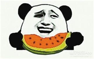 吃瓜群众粉丝是什么,揭秘“吃瓜群众”背后的粉丝力量