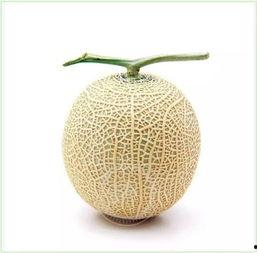 万能的吃瓜群众头像,揭秘网络时代的“围观”文化