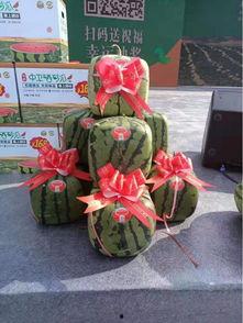 花亦山吃瓜群众称号,吃瓜群众的智慧与趣味