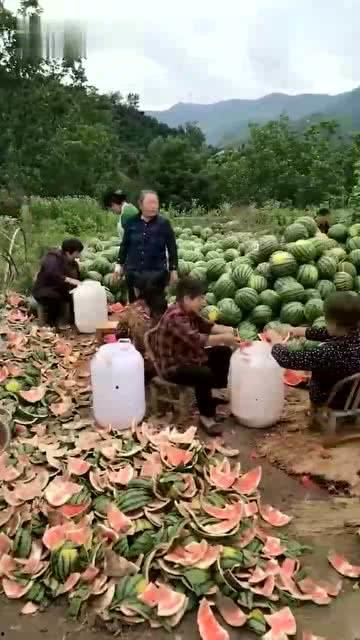 瓜皮的吃瓜群众,揭秘吃瓜群众的狂欢世界