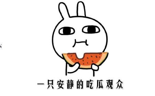 形容自己是吃瓜群众,我是那个默默吃瓜的群众