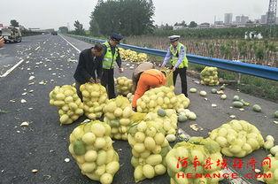 弋阳吃瓜群众事件,网络舆论下的社会现象解析