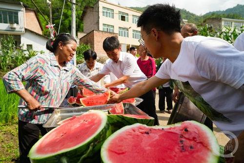 群众吃瓜的游戏,群众吃瓜游戏的欢乐盛宴