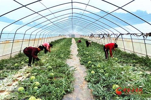 樱花小镇里面的吃瓜群众,吃瓜群众的欢乐盛宴