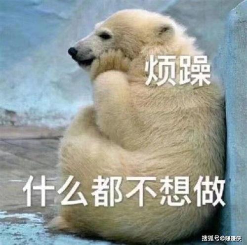 骂吃瓜群众图片,揭秘“吃瓜群众”背后的真相与误解