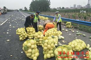 51cg4朝阳吃瓜群众,揭秘吃瓜群众的热情与智慧