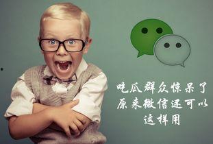 群众吃瓜微信配图,揭秘微信配图背后的故事