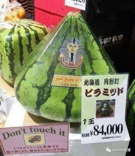 中国吃瓜群众文案