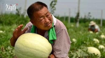 拍摄时有吃瓜群众