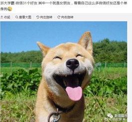 吃瓜群众的开心生活,吃瓜群众的幸福生活全景