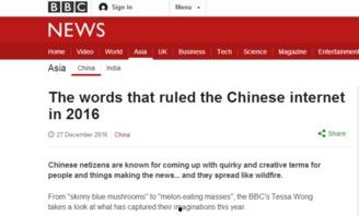 网络热词吃瓜群众出处,从“吃瓜群众”看网络热词的演变与影响力