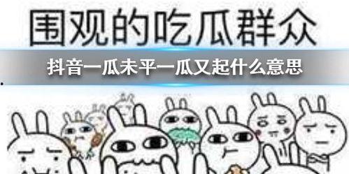 抖音吃瓜群众什么意思