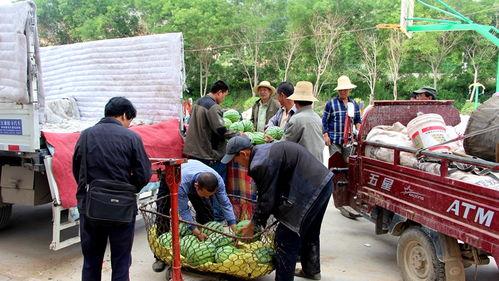 郑家庄吃瓜群众,吃瓜群众的欢乐盛宴